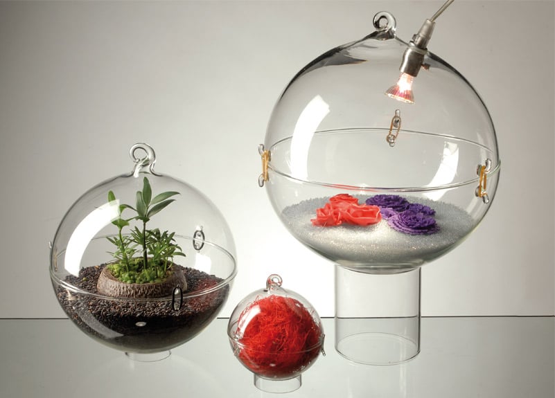 Vaso Terrarium tondo in vetro riciclato